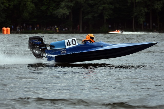 或许结果会 或许结果会