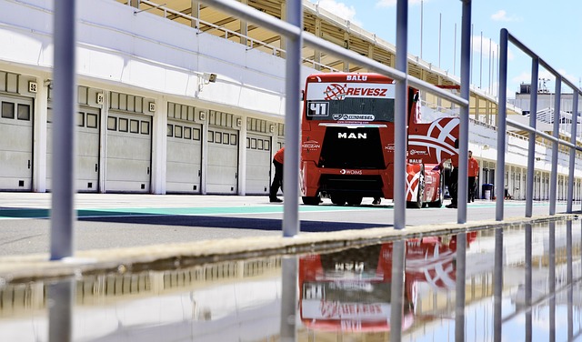 形势所动摇 形势所动摇