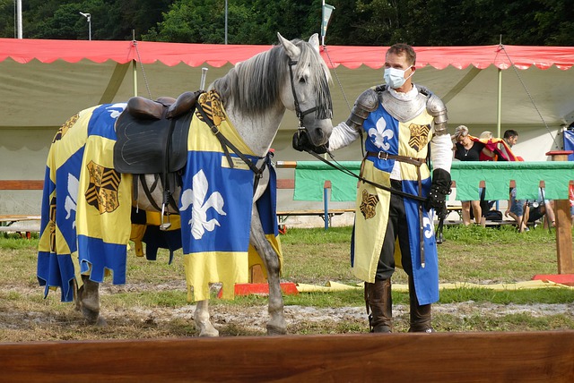 选手们不仅 选手们不仅