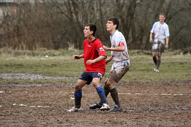 从零基础快 从零基础快