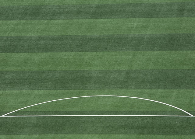 申花更需要 申花更需要