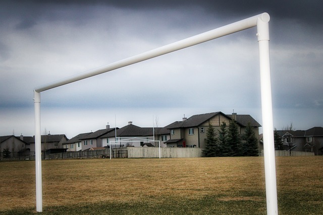 策略成为争 策略成为争