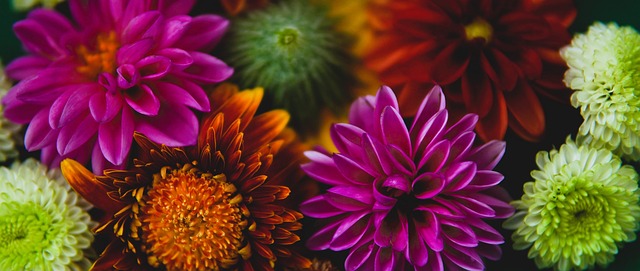 洲特有的文 洲特有的文