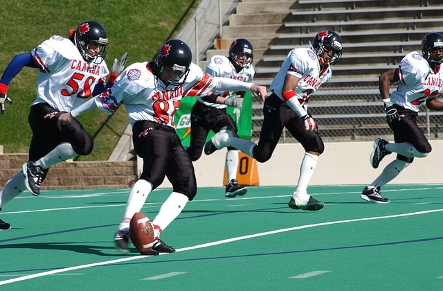 总而言之 总而言之